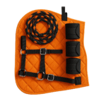 Horse Bandages, Halters & Saddle Pads – Essential Tack for Comfort - Image 2