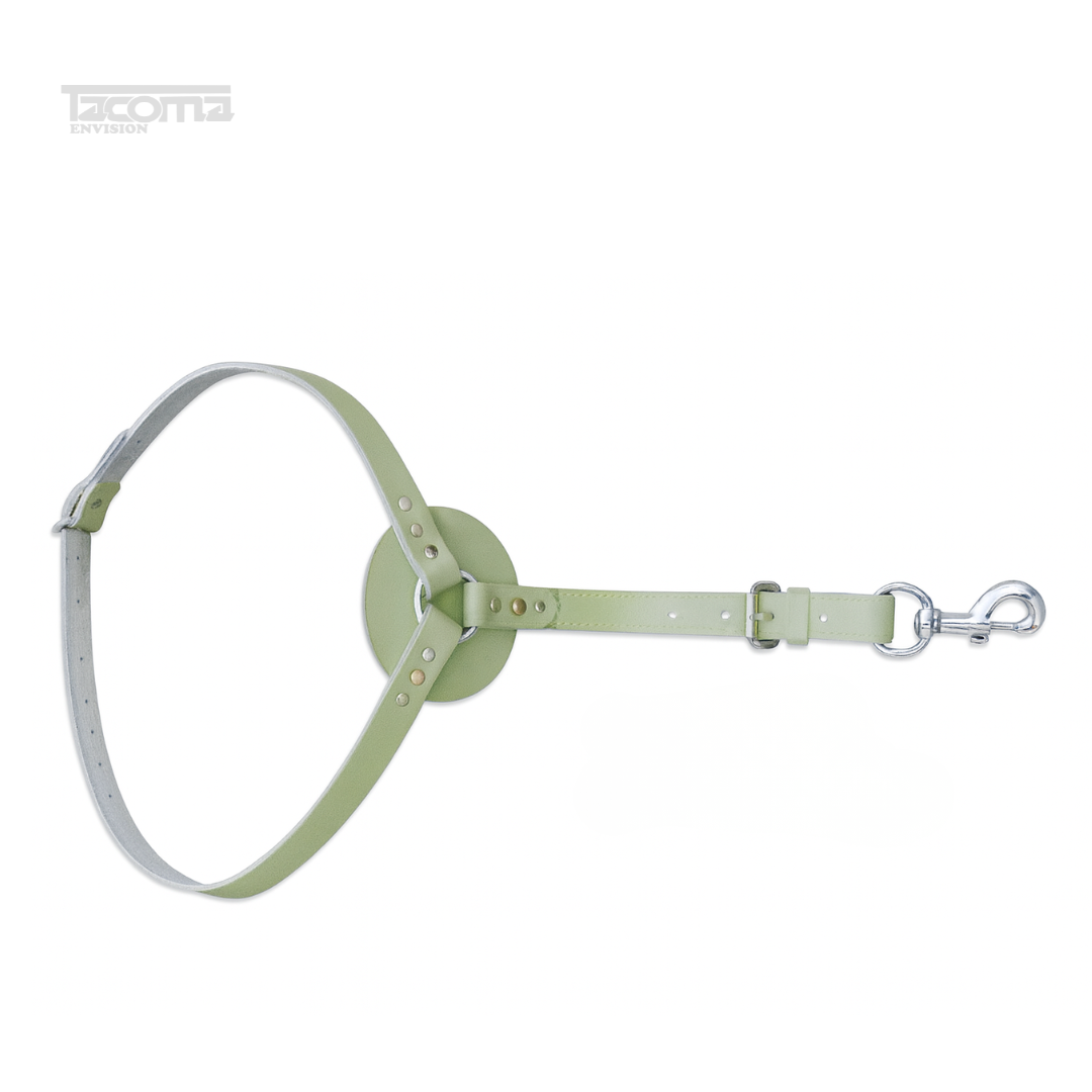5 Bull Ring Halter – Heavy-Duty Leather & Chain Halter - Image 1