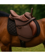 Therapeutic Saddle