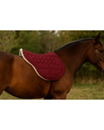 Horse Ortho Saddle Pad