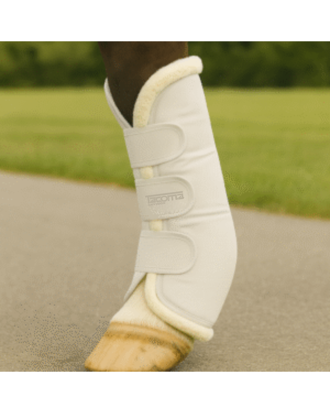 Untitled design Horse Travel Boots - Image 1
